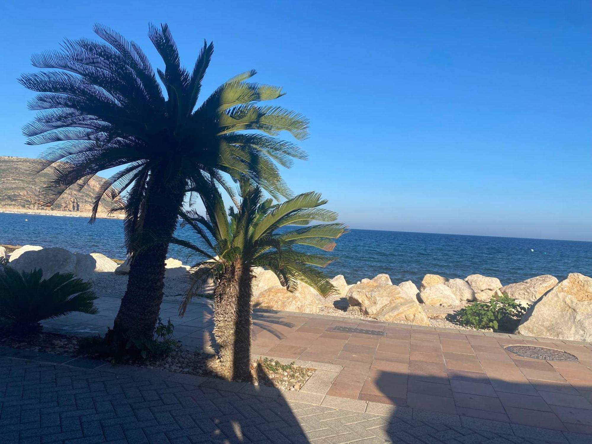 Javea Arenal Beach Jávea Exterior foto